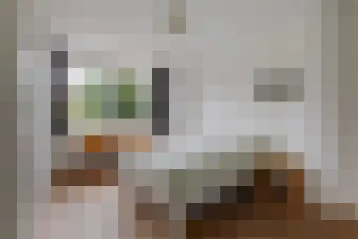 Laan van Poot 163 Den Haag thumbnail 26