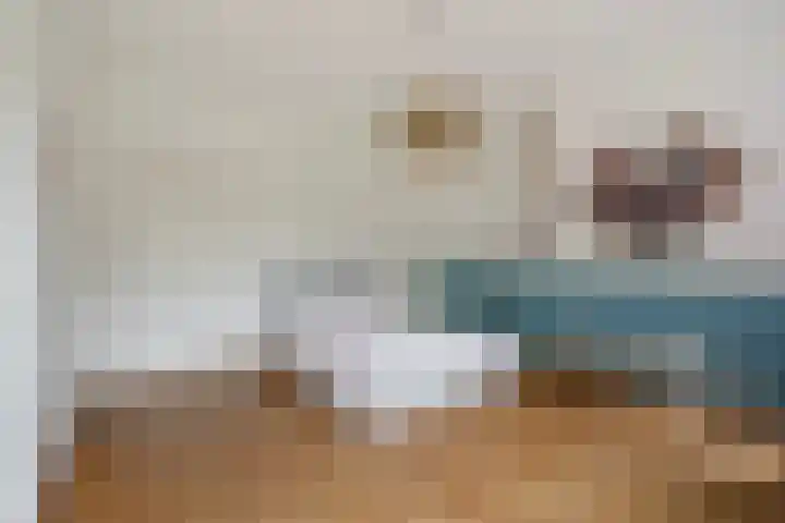 Laan van Poot 163 Den Haag thumbnail 35