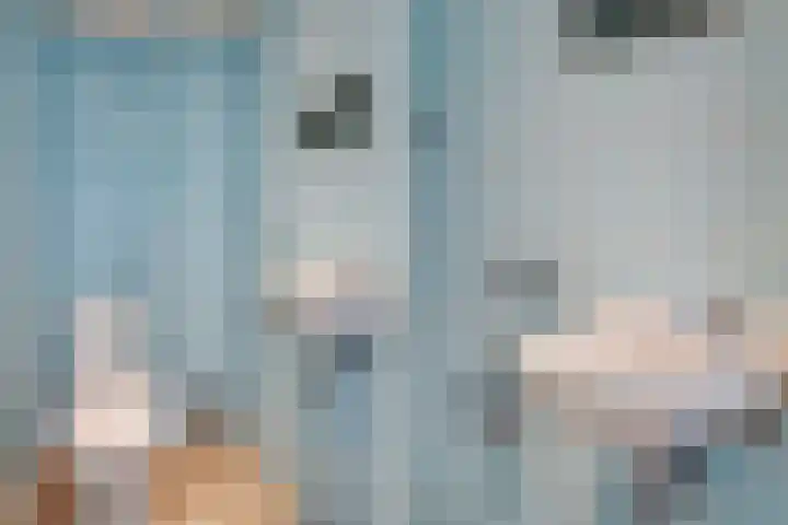 Laan van Poot 163 Den Haag thumbnail 36