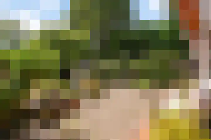 Laan van Poot 163 Den Haag thumbnail 4