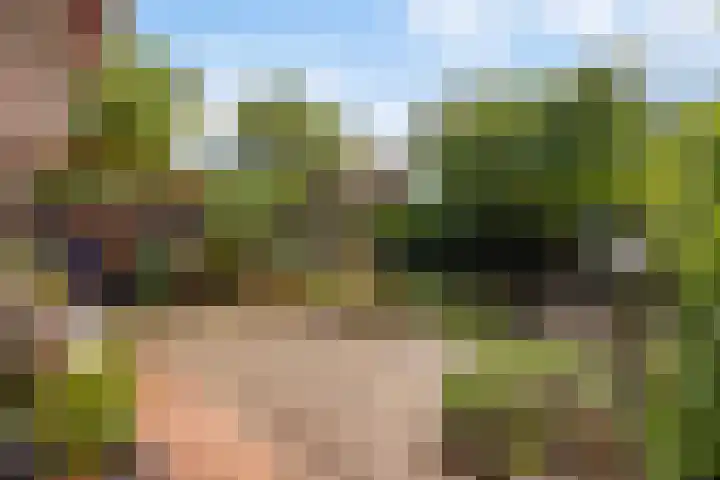 Laan van Poot 163 Den Haag thumbnail 46