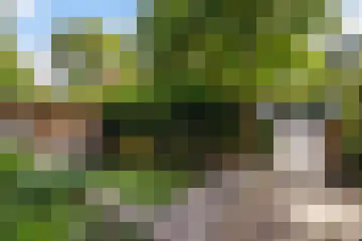 Laan van Poot 163 Den Haag thumbnail 47