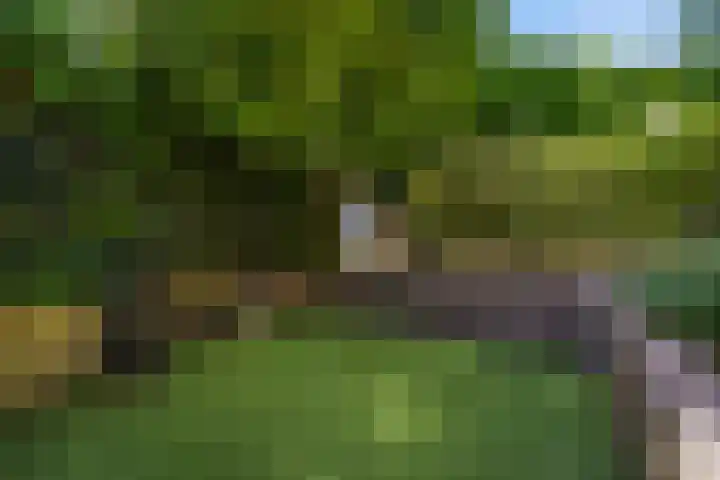 Laan van Poot 163 Den Haag thumbnail 48