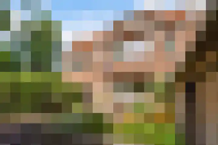 Laan van Poot 163 Den Haag thumbnail 49