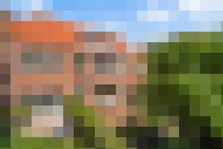 Laan van Poot 163 Den Haag thumbnail 52