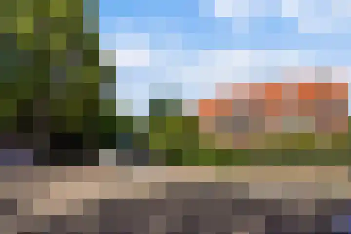 Laan van Poot 163 Den Haag thumbnail 55