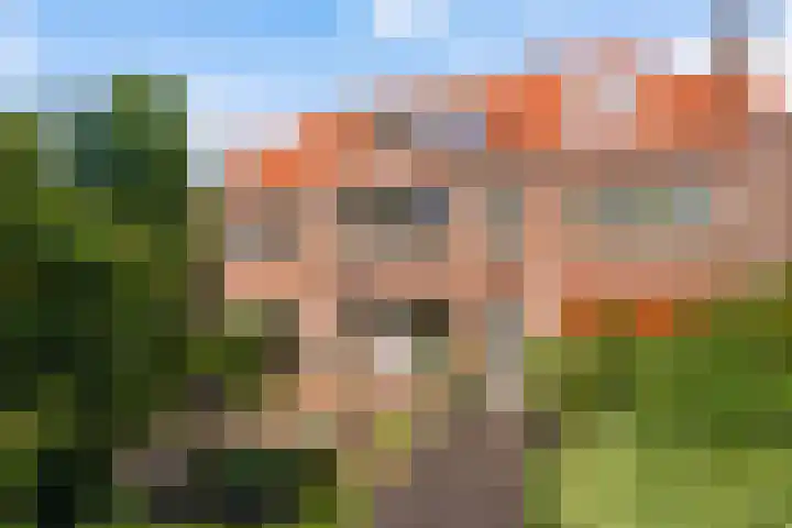 Laan van Poot 163 Den Haag thumbnail 62