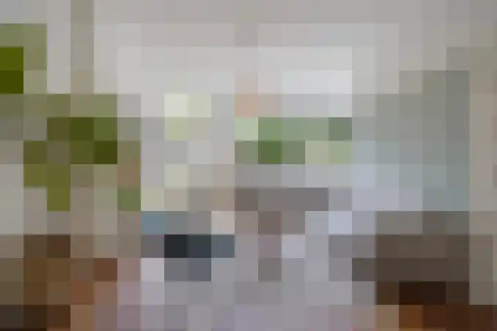 Laan van Poot 163 Den Haag thumbnail 7