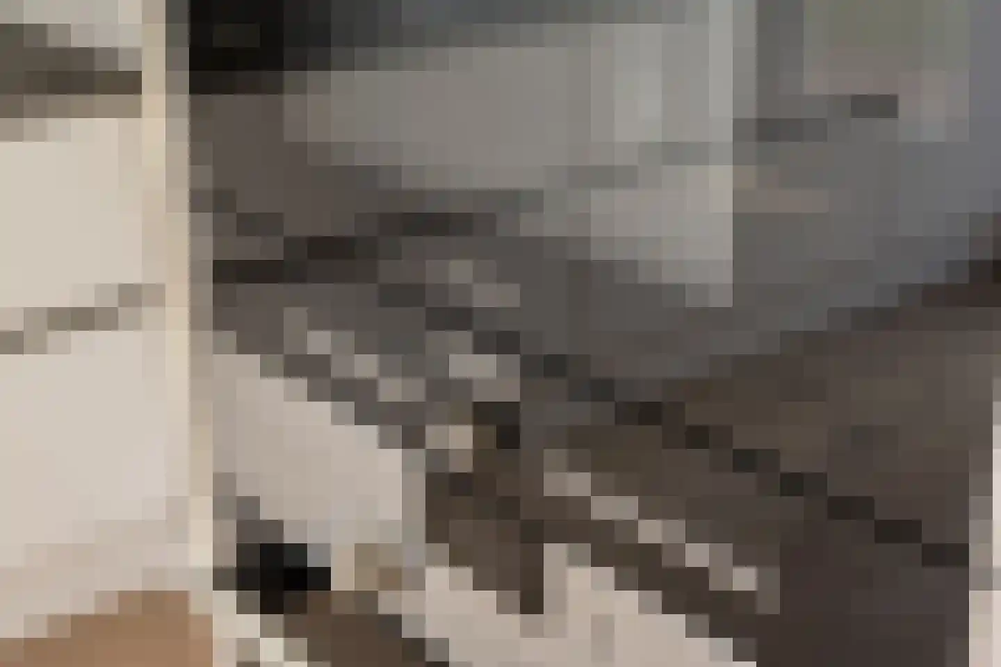 Laan van Poot 276 Den Haag thumbnail 18