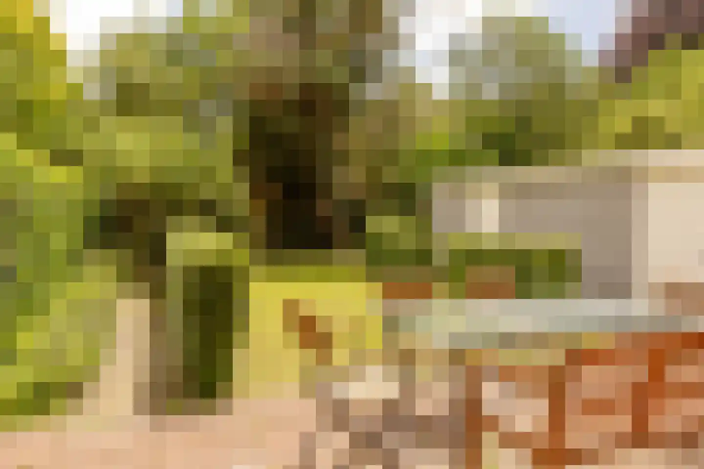 Laan van Poot 276 Den Haag thumbnail 20