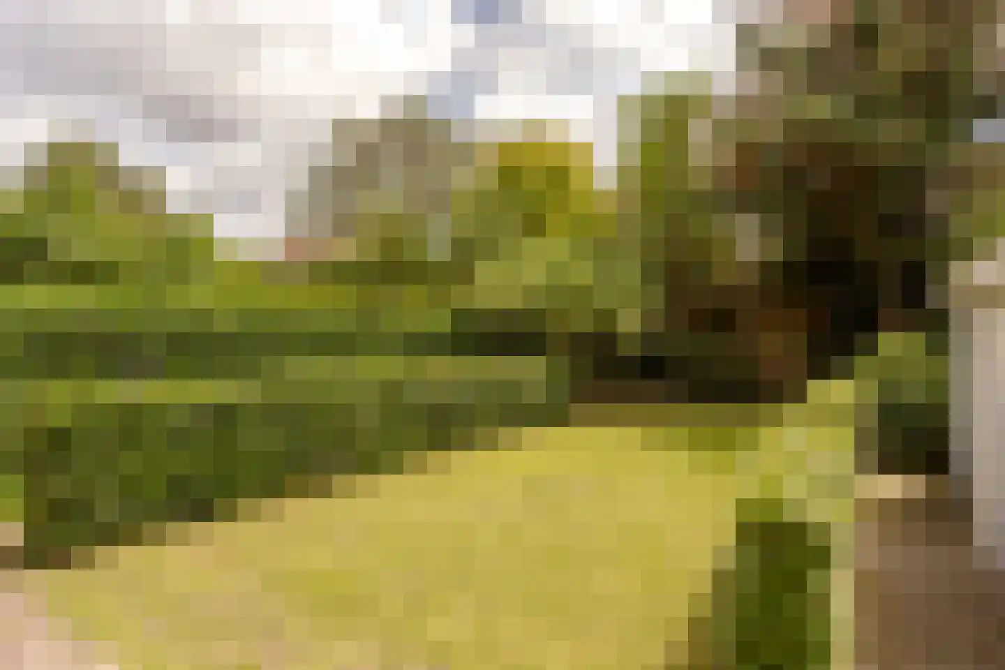 Laan van Poot 276 Den Haag thumbnail 21