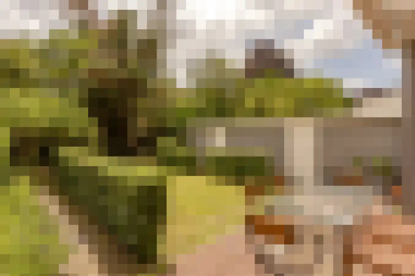 Laan van Poot 276 Den Haag thumbnail 24