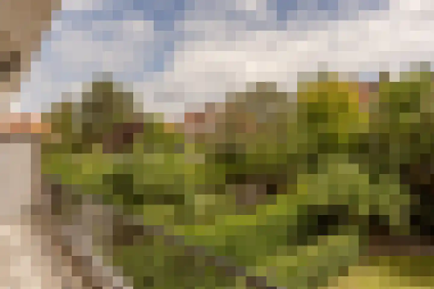Laan van Poot 276 Den Haag thumbnail 29