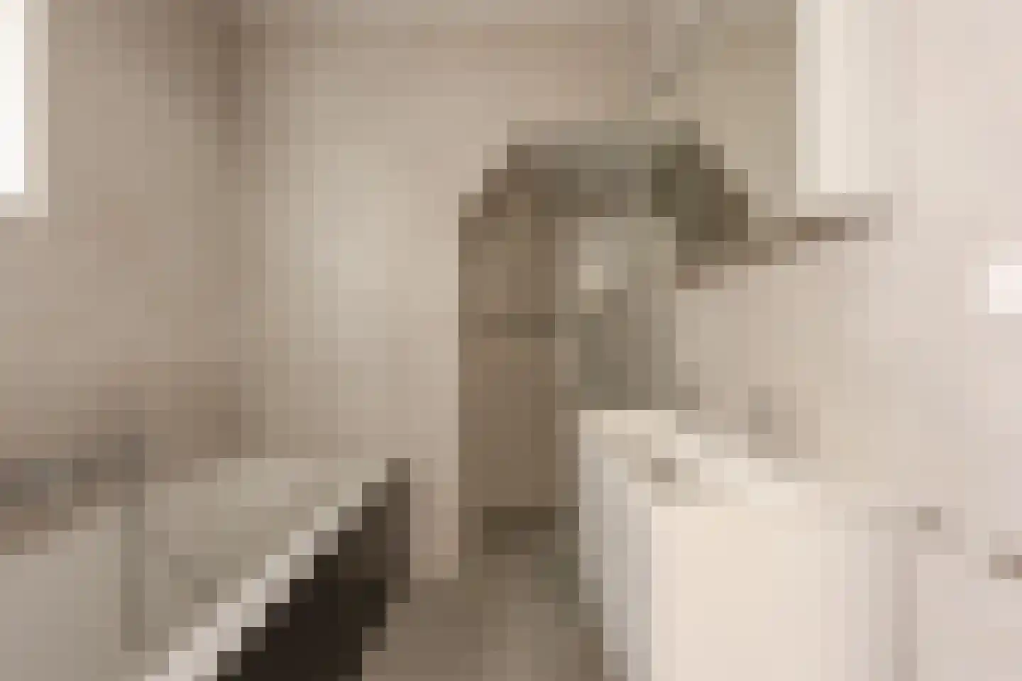 Laan van Poot 276 Den Haag thumbnail 35