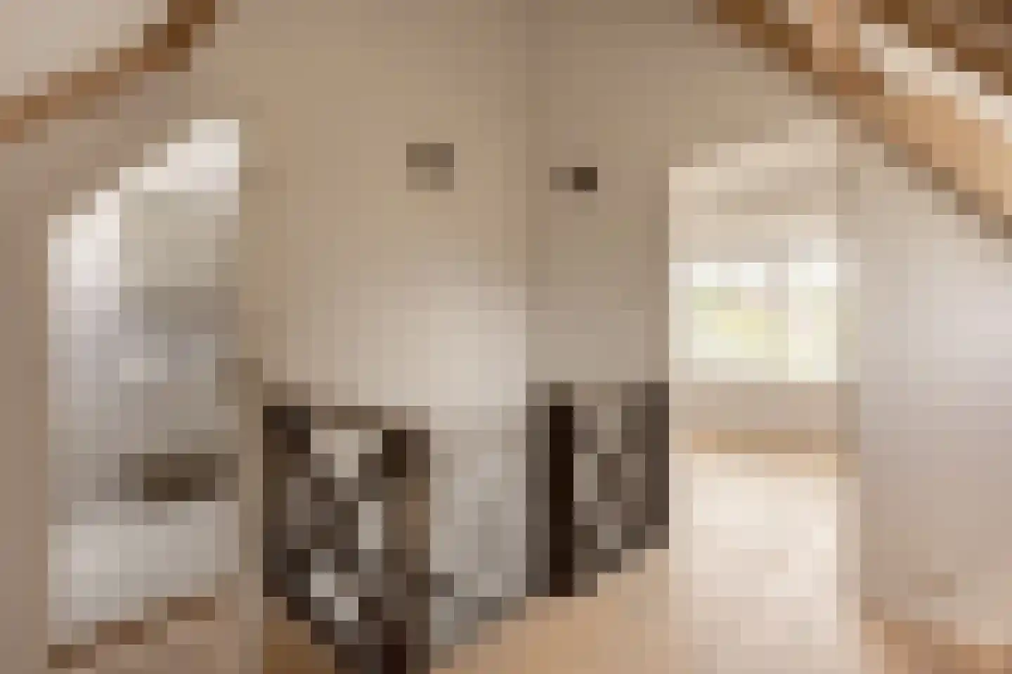 Laan van Poot 276 Den Haag thumbnail 41