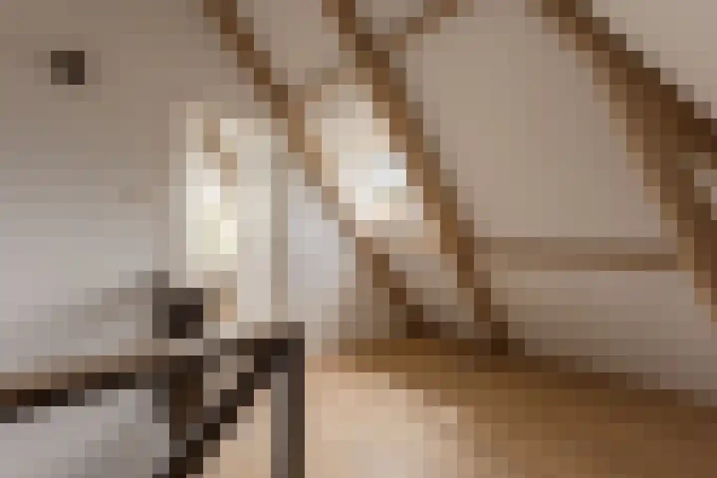 Laan van Poot 276 Den Haag thumbnail 43