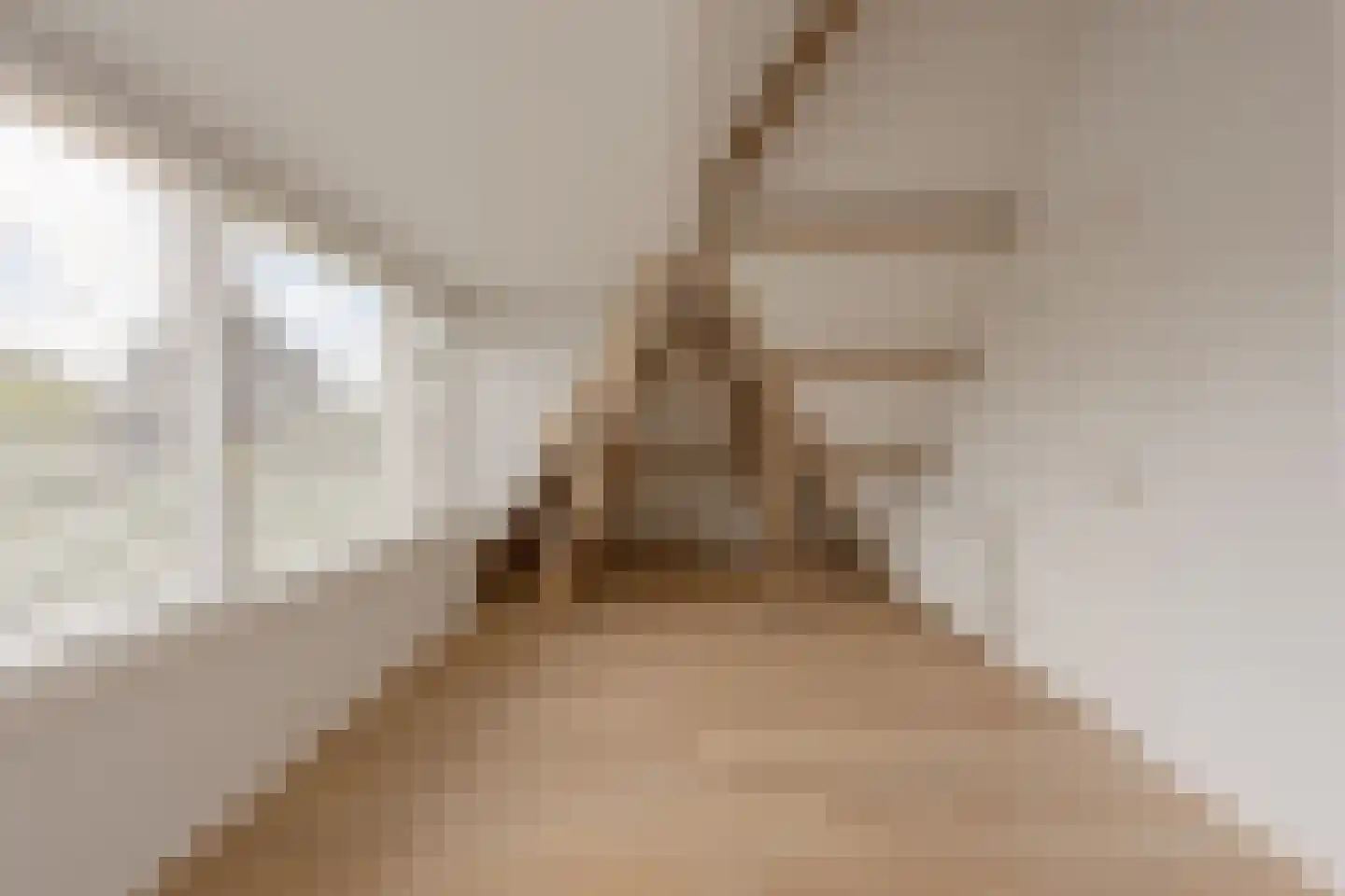 Laan van Poot 276 Den Haag thumbnail 46