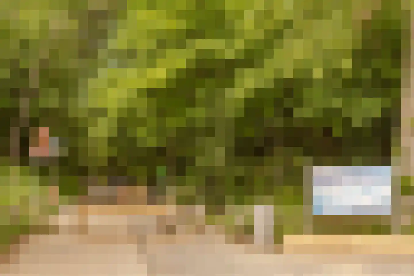 Laan van Poot 276 Den Haag thumbnail 48