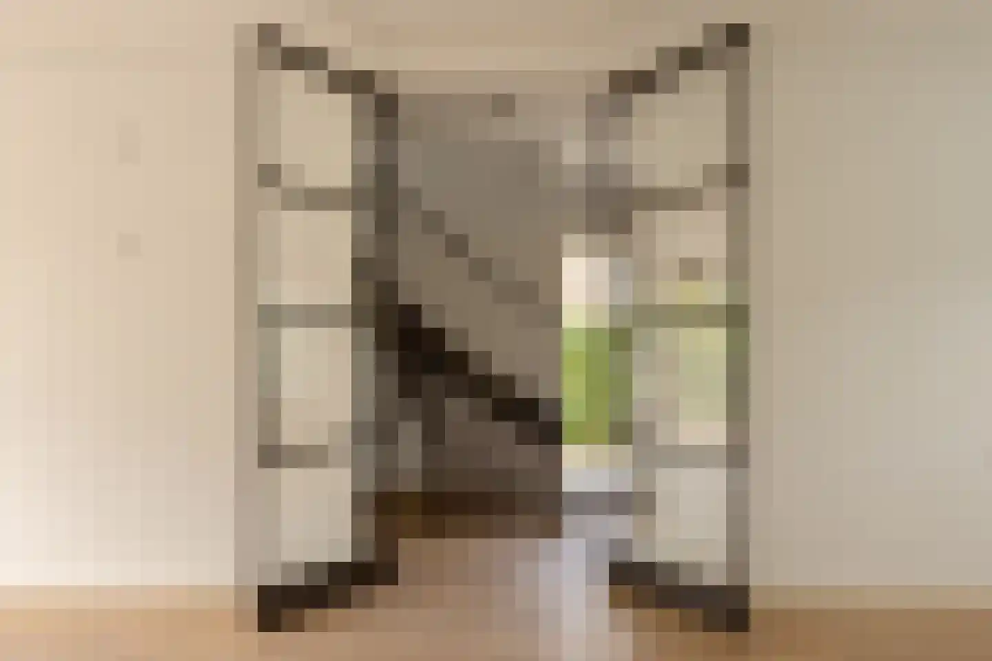 Laan van Poot 276 Den Haag thumbnail 8