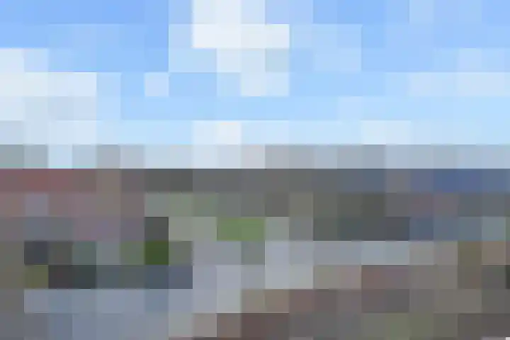 Laan van Poot 391 Den Haag thumbnail 17