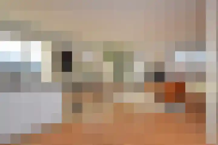 Laan van Poot 391 Den Haag thumbnail 20