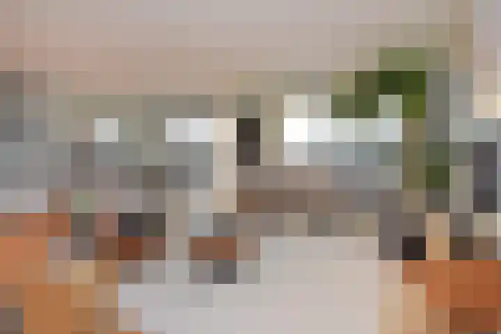 Laan van Poot 391 Den Haag thumbnail 25