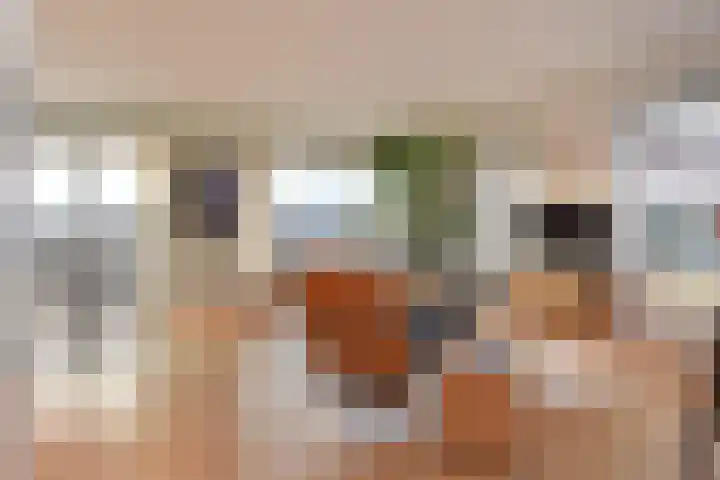 Laan van Poot 391 Den Haag thumbnail 26