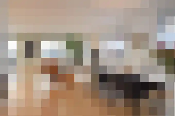 Laan van Poot 391 Den Haag thumbnail 30