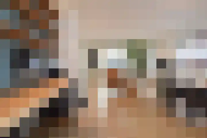 Laan van Poot 391 Den Haag thumbnail 31