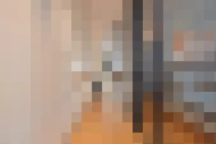 Laan van Poot 391 Den Haag thumbnail 33
