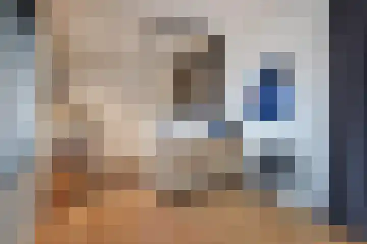 Laan van Poot 391 Den Haag thumbnail 36