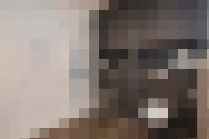 Laan van Poot 391 Den Haag thumbnail 38