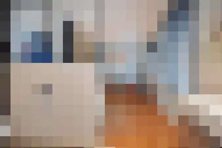 Laan van Poot 391 Den Haag thumbnail 40