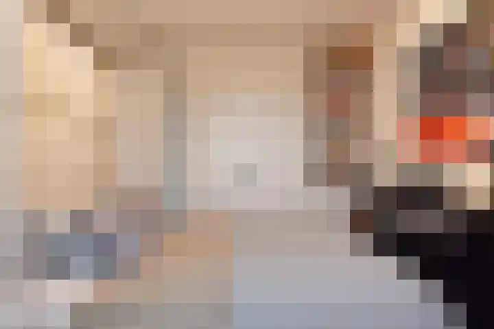 Laan van Poot 391 Den Haag thumbnail 48
