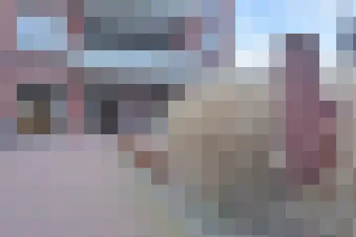 Laan van Poot 391 Den Haag thumbnail 5