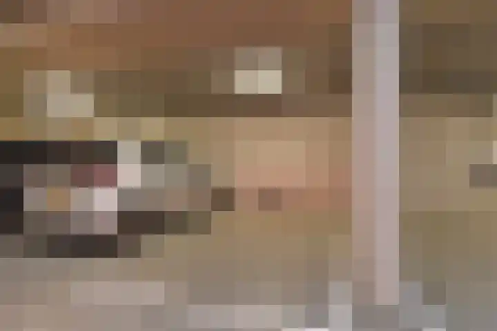 Laan van Poot 391 Den Haag thumbnail 57