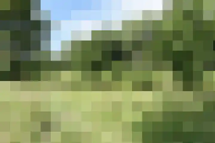 Laan van Poot 391 Den Haag thumbnail 63