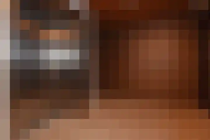 Laan van Poot 391 Den Haag thumbnail 8