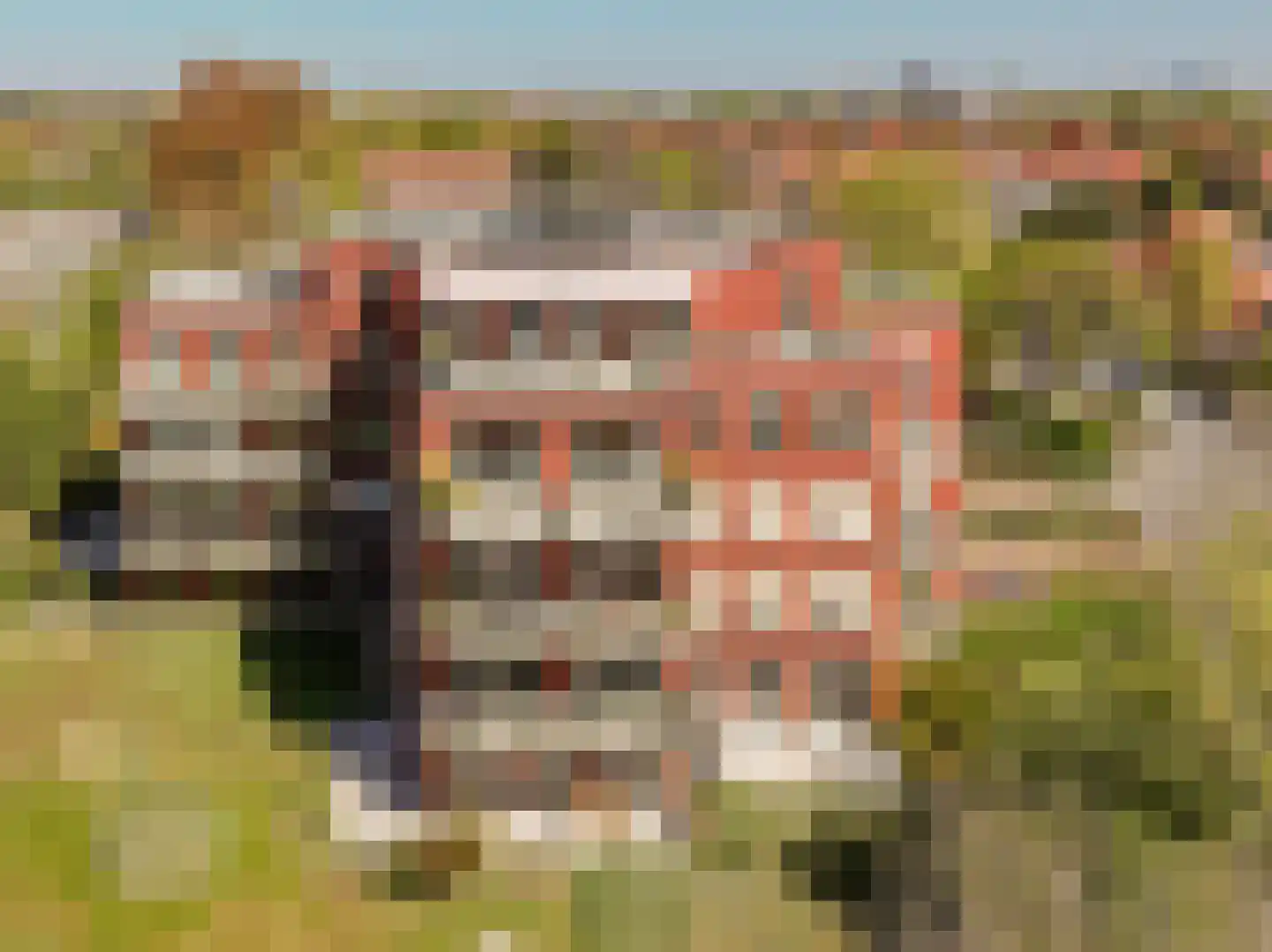 Laan van Poot 399 in Den Haag
