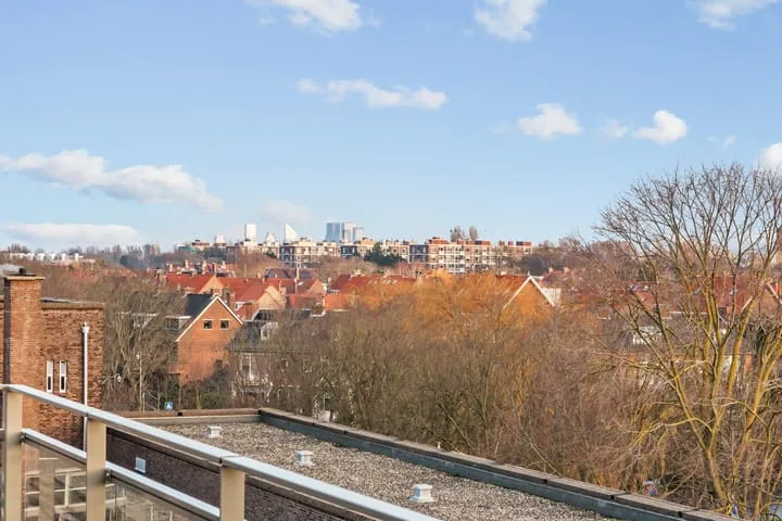 Laan van Poot 401 Den Haag thumbnail 45