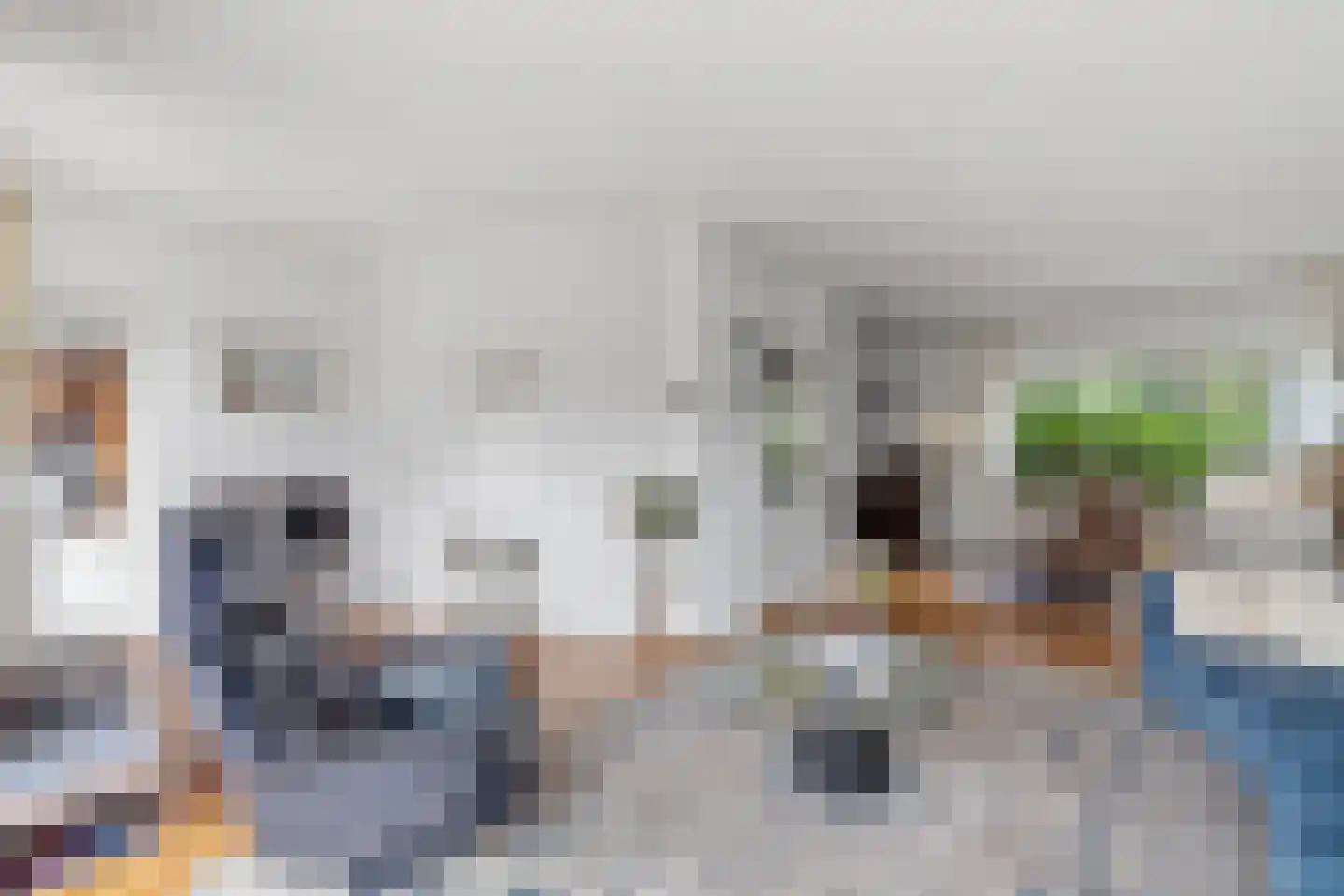 Laan van Poot 450 Den Haag thumbnail 11