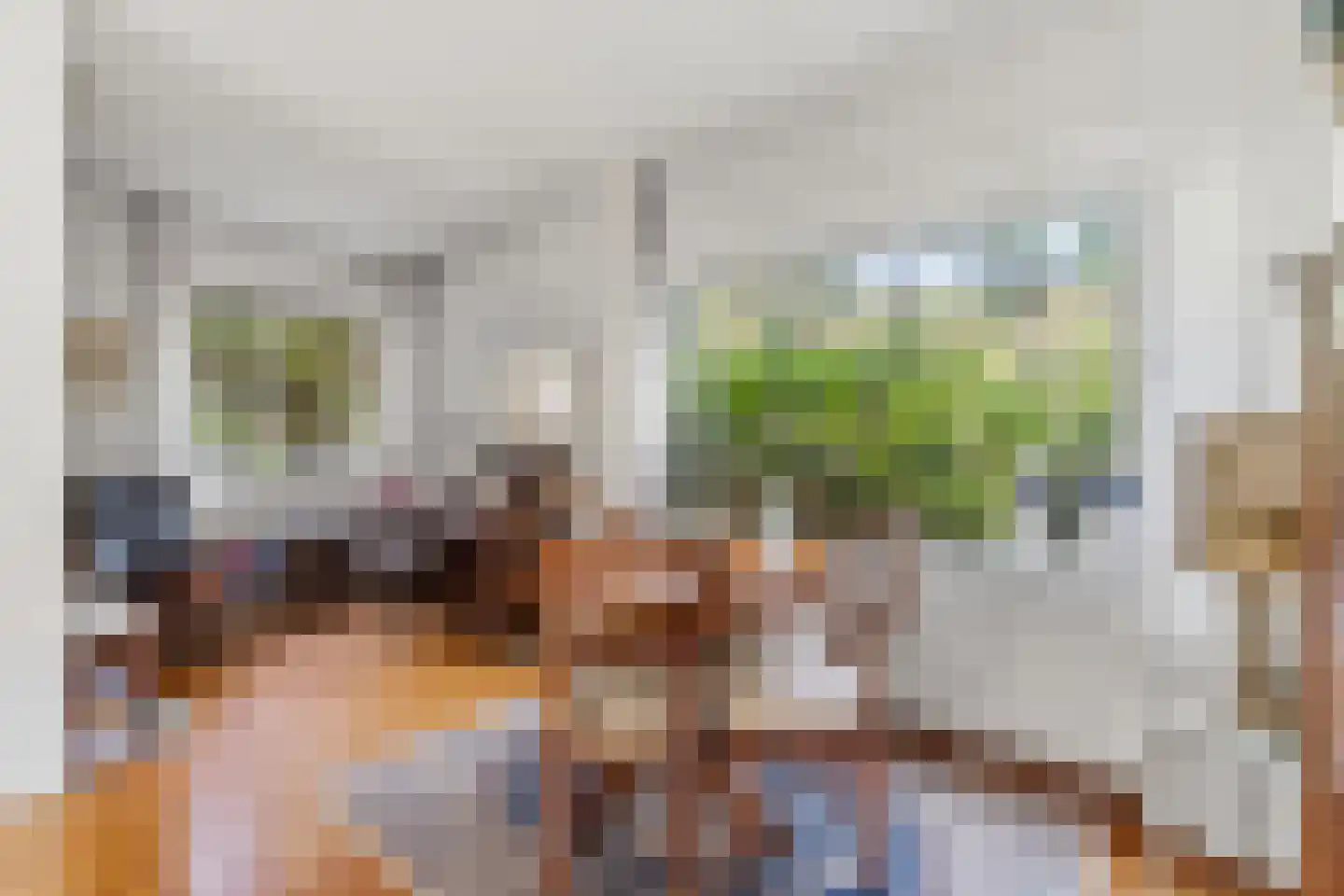 Laan van Poot 450 Den Haag thumbnail 12