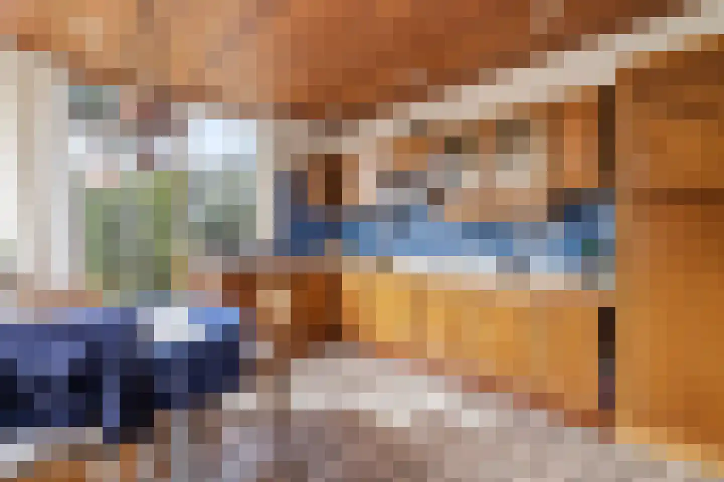 Laan van Poot 450 Den Haag thumbnail 16