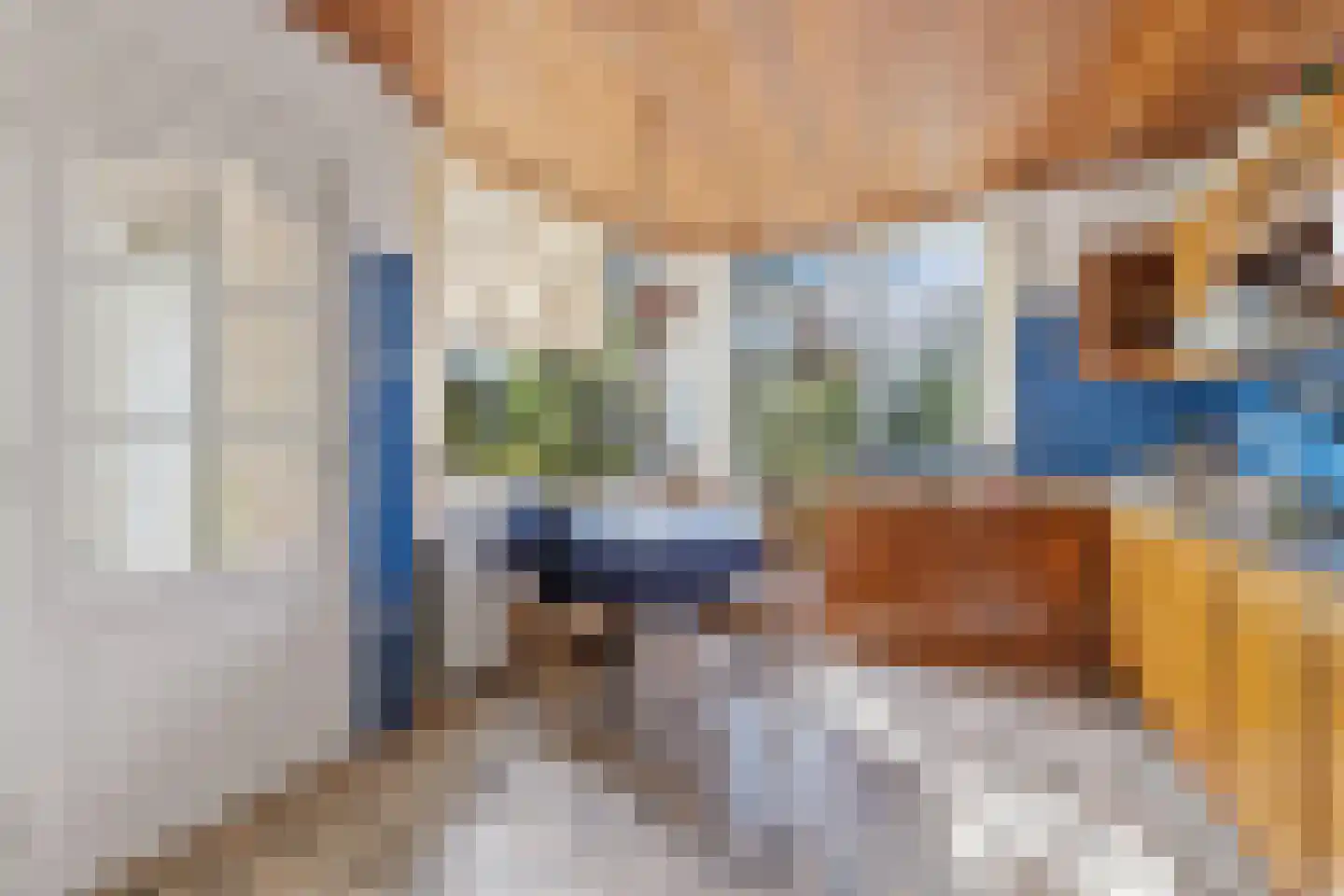Laan van Poot 450 Den Haag thumbnail 17