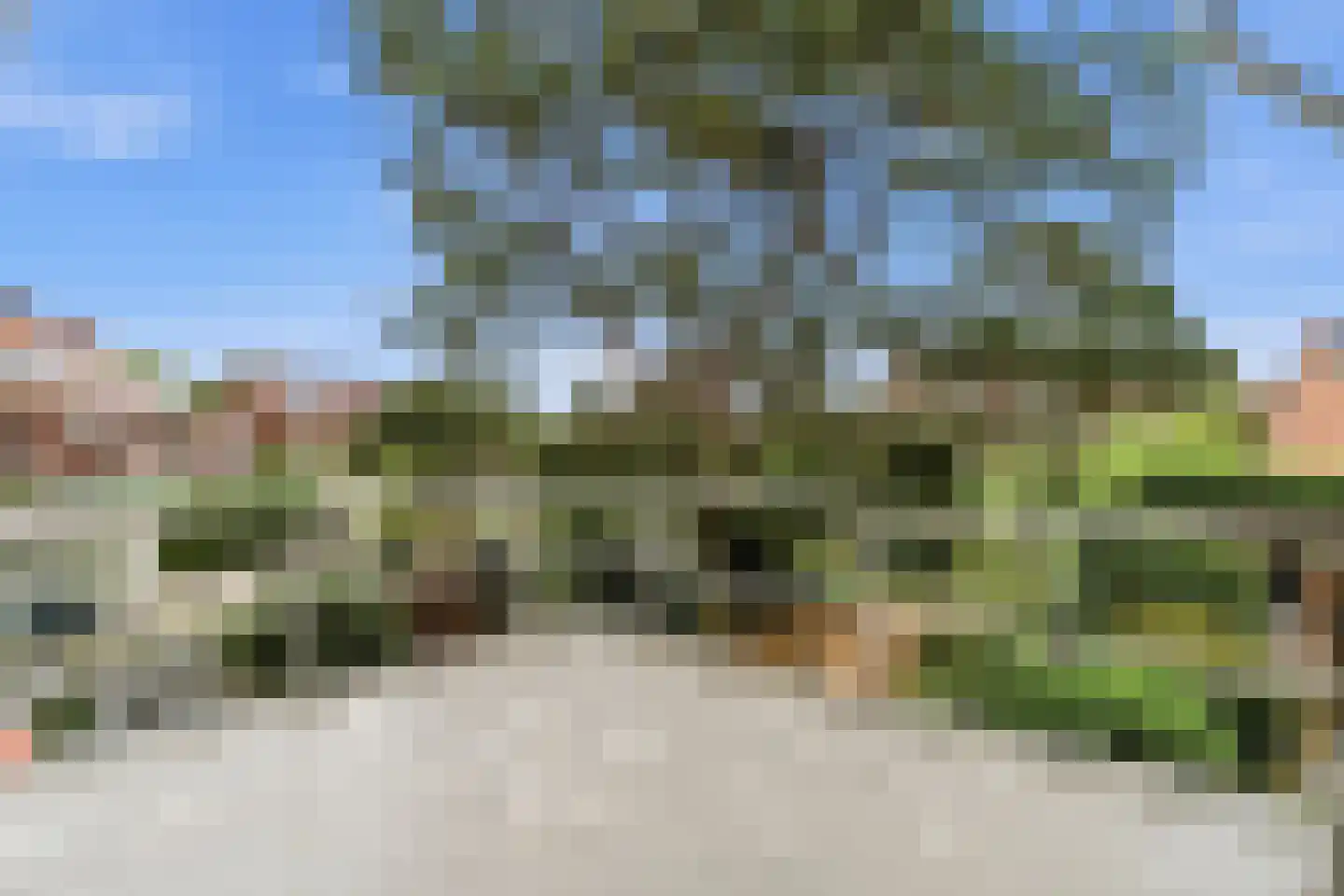 Laan van Poot 450 Den Haag thumbnail 32