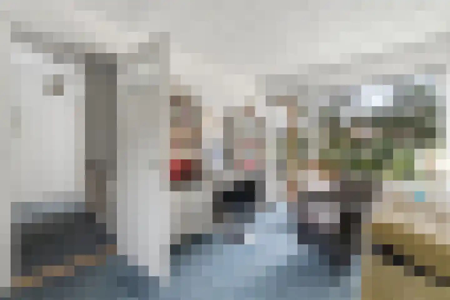 Laan van Poot 450 Den Haag thumbnail 36
