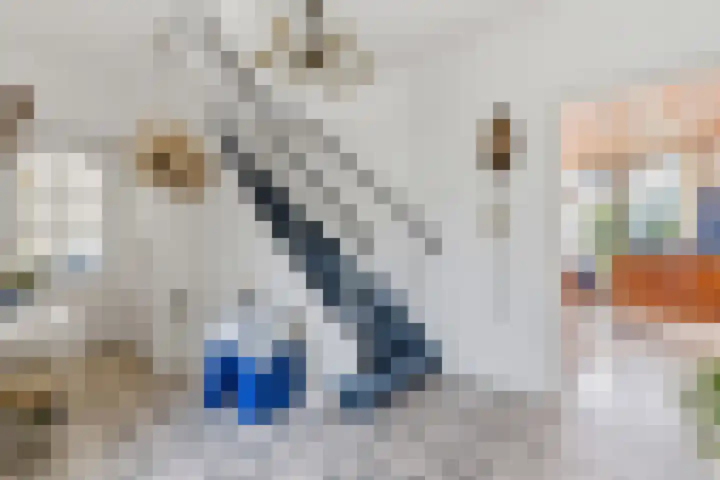 Laan van Poot 450 Den Haag thumbnail 6
