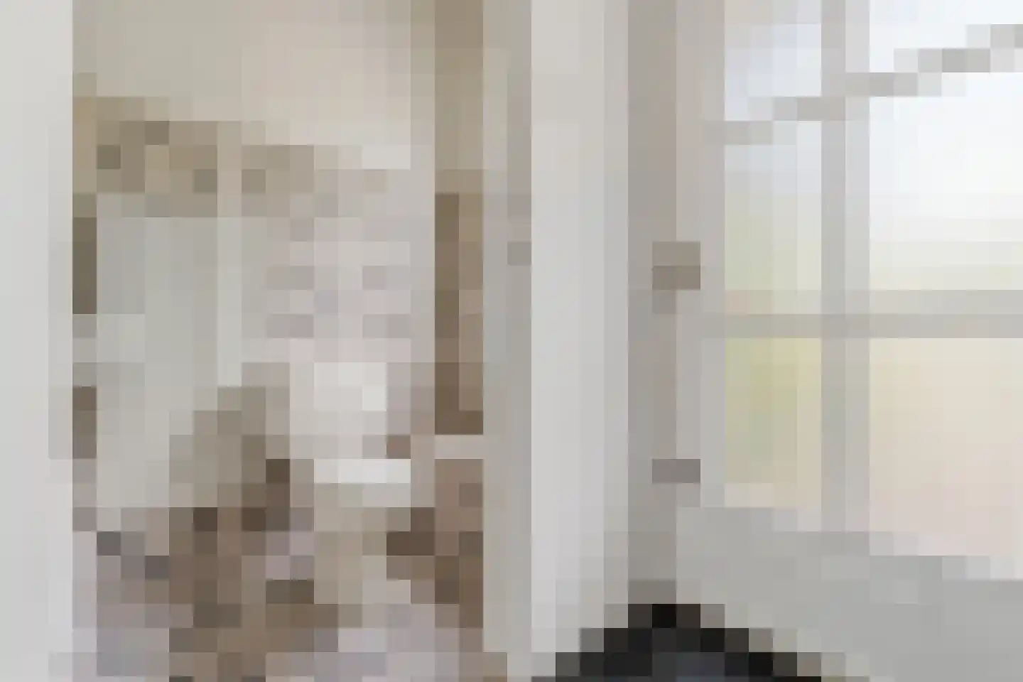 Laan van Poot 450 Den Haag thumbnail 7