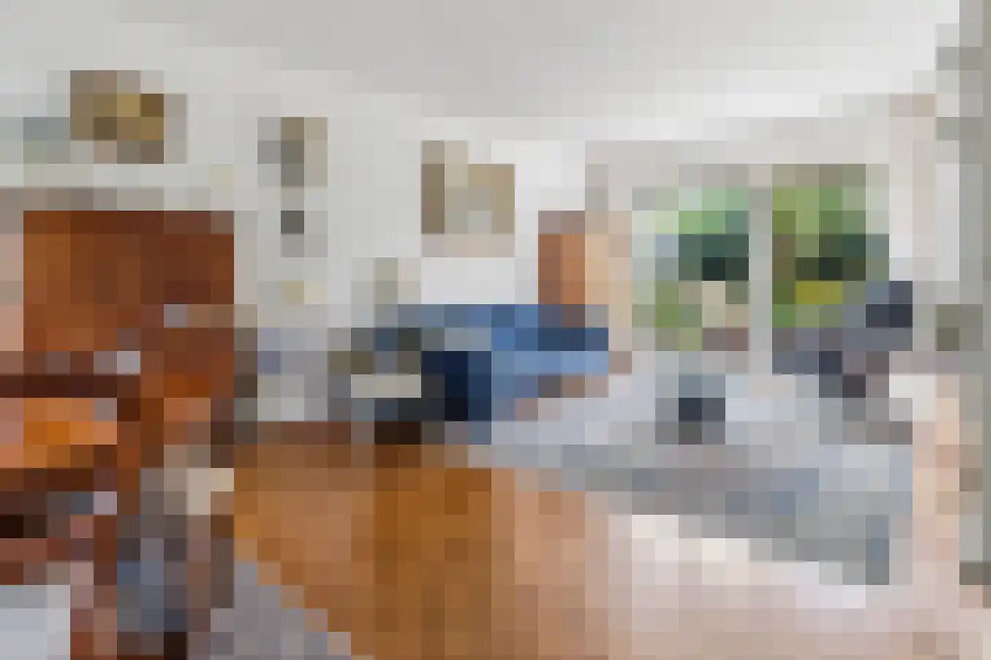 Laan van Poot 450 Den Haag thumbnail 8