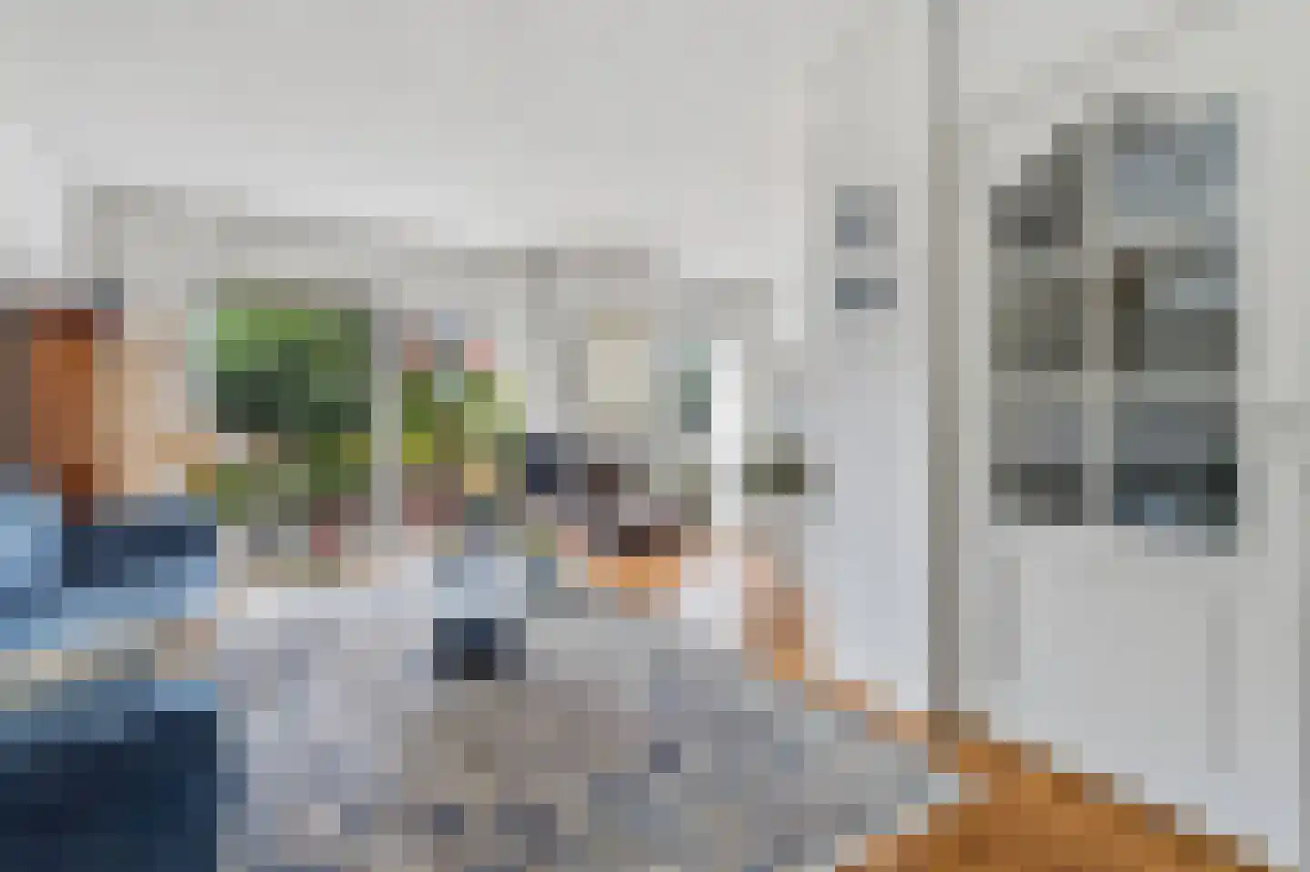 Laan van Poot 450 Den Haag thumbnail 9